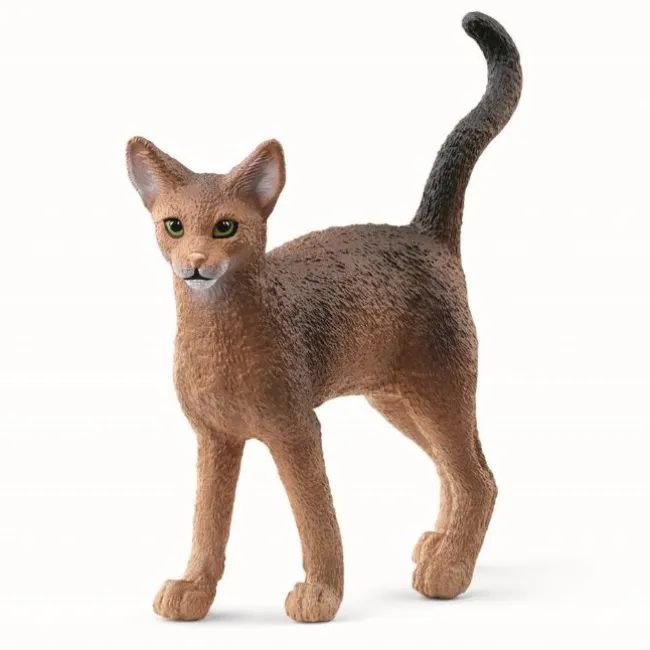 Abyssinierkat