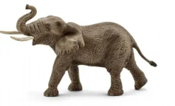 Afrika elefant han