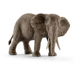 Afrikansk Elefant hun