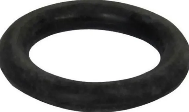 Air Release Valve O-ring for Filter Pump