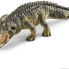 Alligator