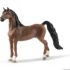 American saddlebred, vallak