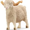 Angora ged