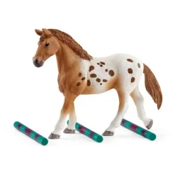 Appaloosa heste træning