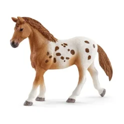 Appaloosa heste træning