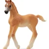 Araberføl