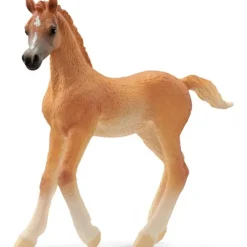 Araberføl