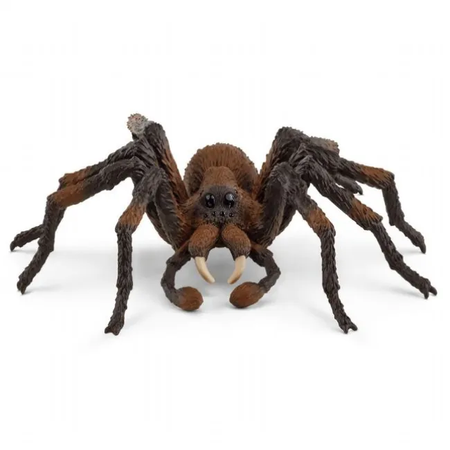 Aragog