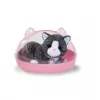 Baby Born My Cat Cookie with Box