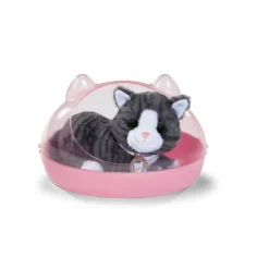 Baby Born My Cat Cookie with Box