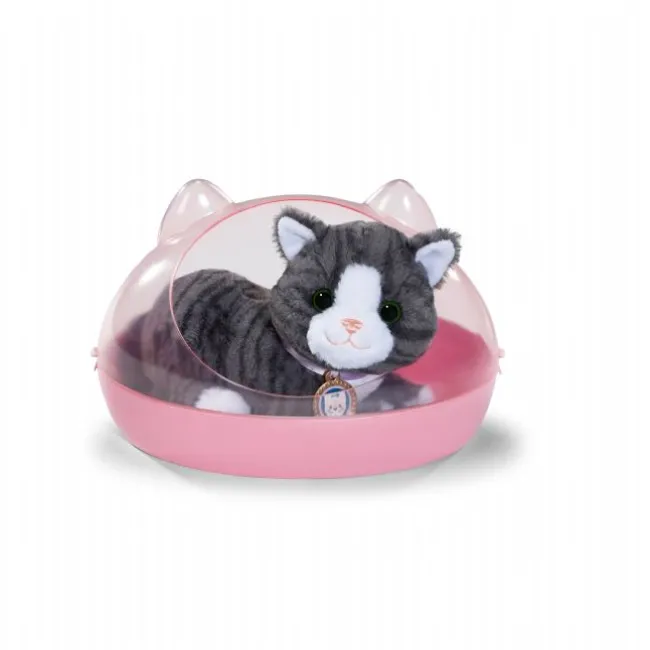 Baby Born My Cat Cookie with Box