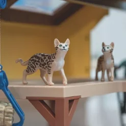 Bengalsk Kat