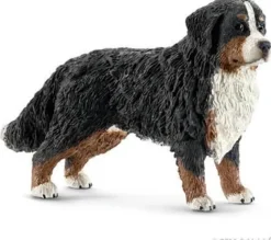Berner Sennenhund, hun
