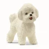 Bichon Frisé