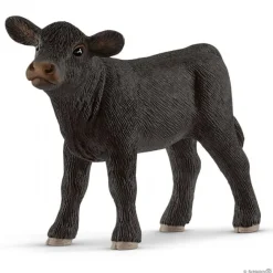 Black Angus-kalv