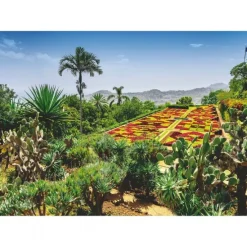 Botanisk Have Madeira 1000 Brikker