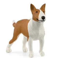 Bull Terrier