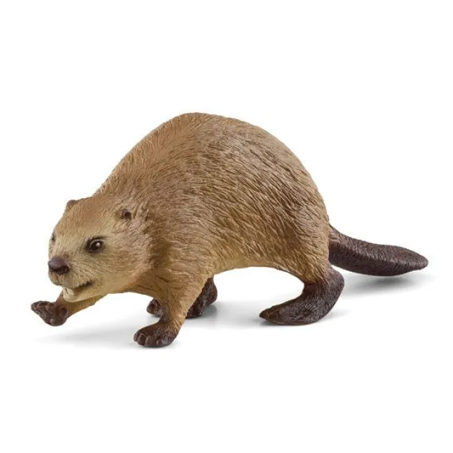 Bæver