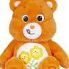 Care Bears Friend Bamse 36cm