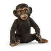Chimpansee Ungdyr