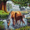Crystal Art Ponyer 30x30 cm