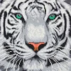 Crystal Art Snetiger 30x30 cm