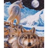 Crystal Art Vogteren 40x50 cm