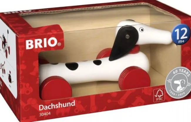 Dachsie Pull along hund 60 år