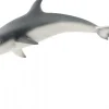 Delfin