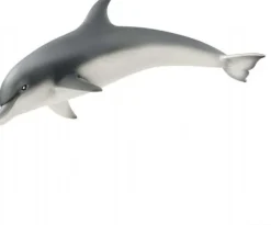 Delfin