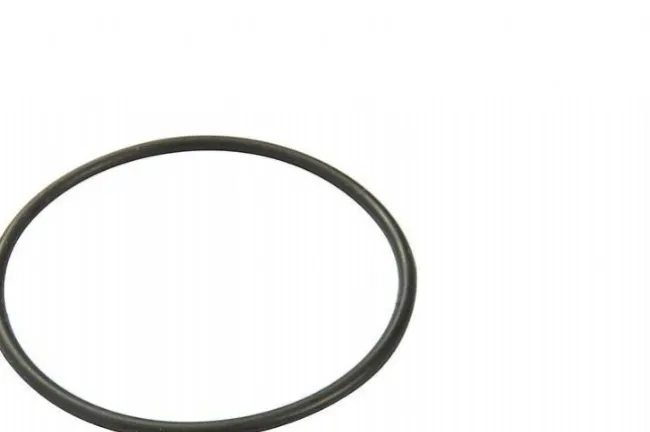 Filter Cap Seal for 330gal/1249l Filter