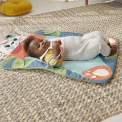 Fisher Price Roly-Poly Panda Play Mat