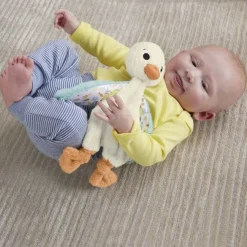 Fisher Price Sensimals Snuggle Up Goose