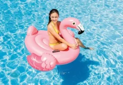 Flyde Flamingo ride on