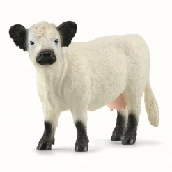 Galloway ko