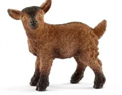 Gedekid