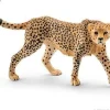 Gepard hun