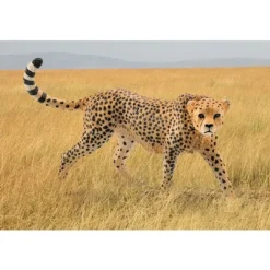 Gepard hun