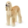 Greyhound