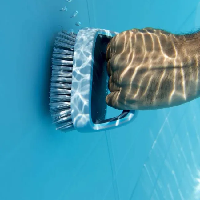 Hand Scrupper Brush