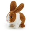 Happy Pets Happy Hoppy Kanin