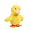 Happy Pets Rap Rap And