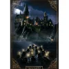Harry Potter Plakat 91x61 cm