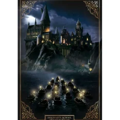 Harry Potter Plakat 91x61 cm