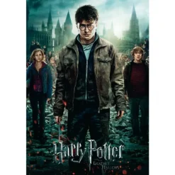Harry Potter Plakat 91,5x61 cm