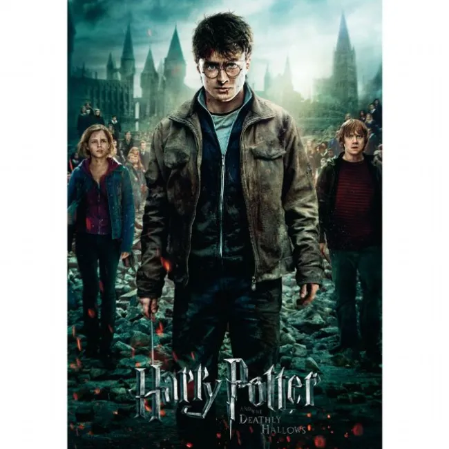 Harry Potter Plakat 91,5x61 cm