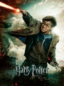 Harry Potter puslespil 100 brikker