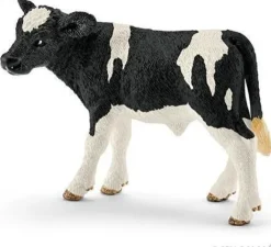 Holstein-kalv