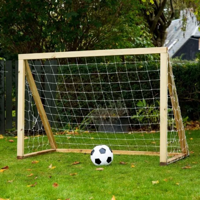 Homegoal Classic Mini