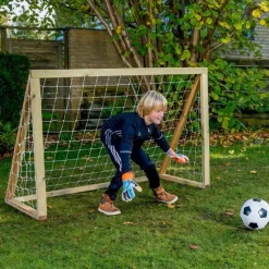 Homegoal Classic Mini